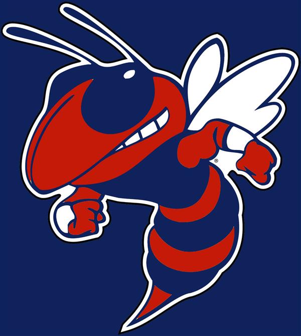 lds hornet flag