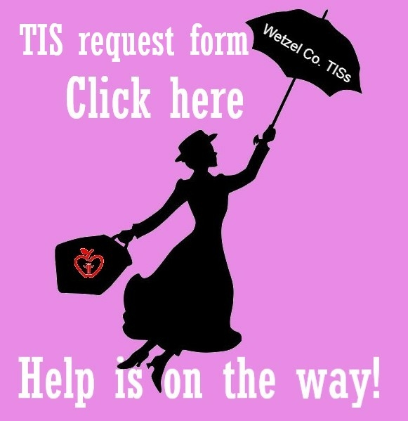  TIS Help Form